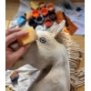 Kæphest Cremello Hobby Horses A3