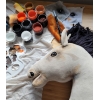 Kæphest Hobby Horse Light Dun A3