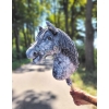 Kæphest Dapple Grey med Grå Manke