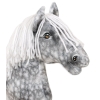 Kæphest Dapple Grey med Hvid Manke