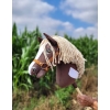 Kæphest Smuk mørkebrun hvid beige Manke Amerikansk Mustang