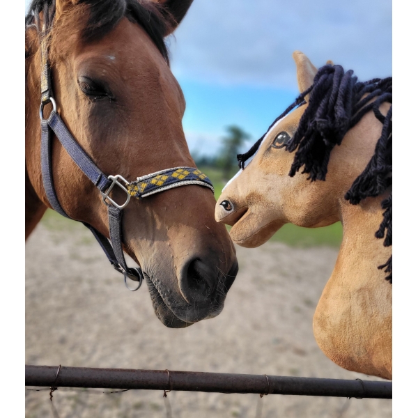 Kæphest sport til salg