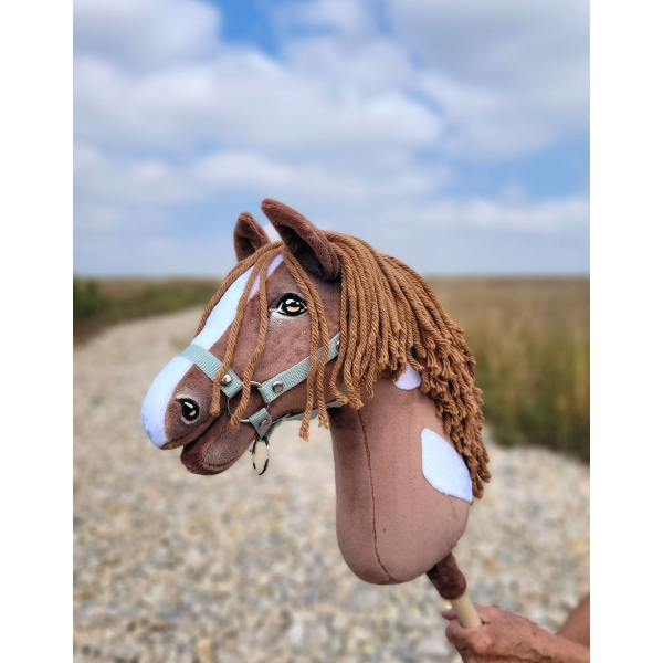 Kæphest Brun Hvid pinto Amerikansk Mustang