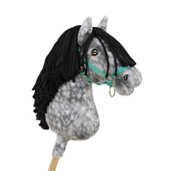 Kæphest Dapple Grey med Sort Manke